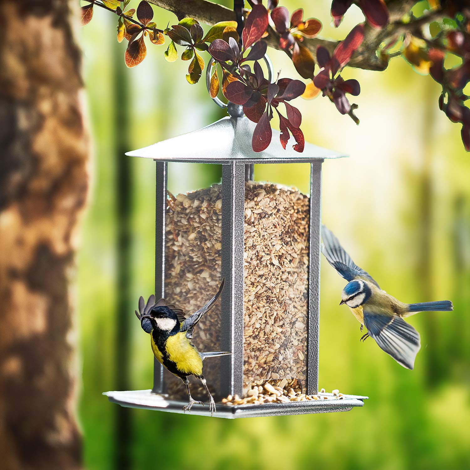 Paul´s Mühle Wildvogelfutter, Vogelfutter ideal für Brutzeit und Aufzucht, Phönix, 10 kg