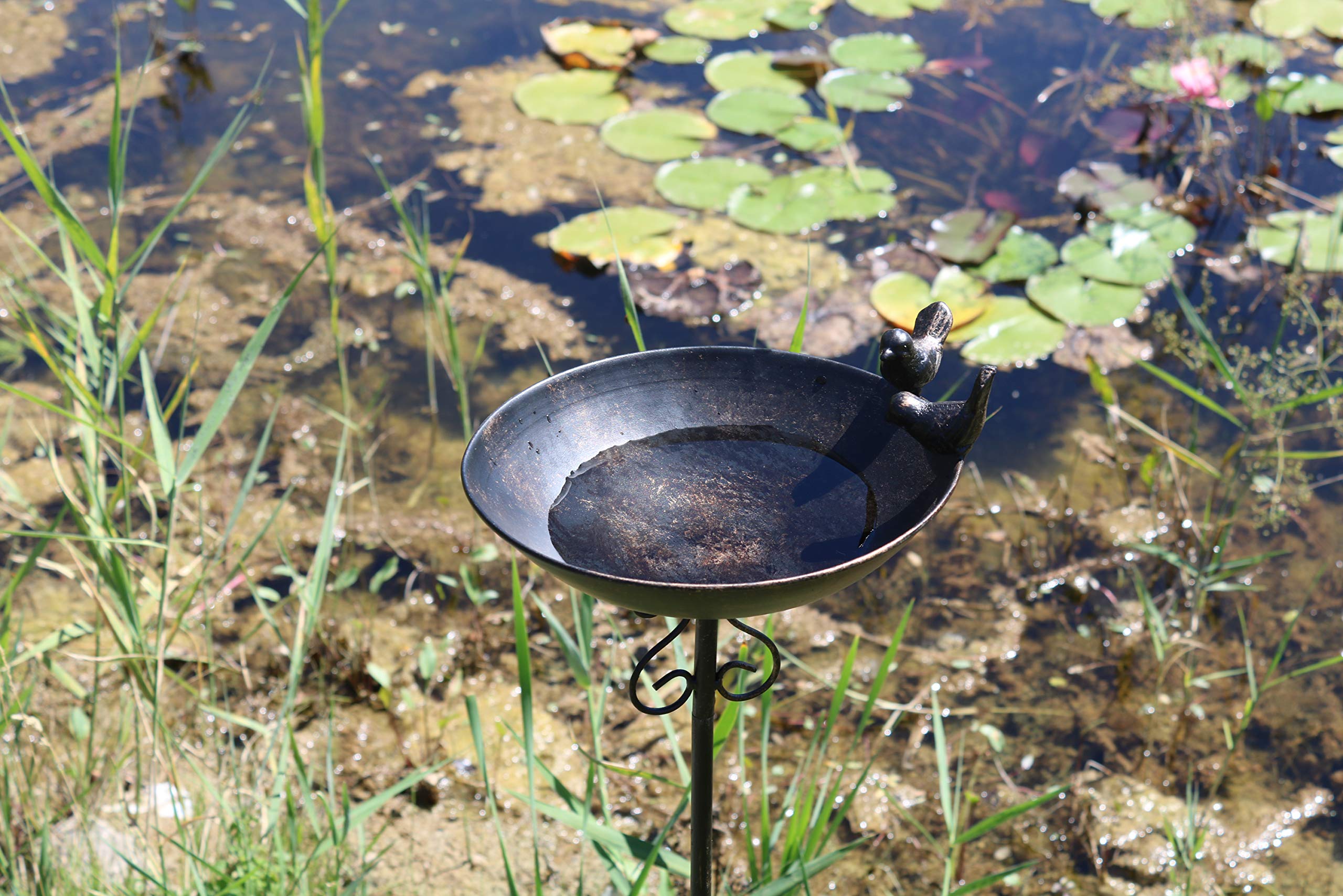 AmaCasa Vogeltränke Vogelbad Vogelbecken Wassertränke Tränke Wasserschale Stecker Braun Eisen