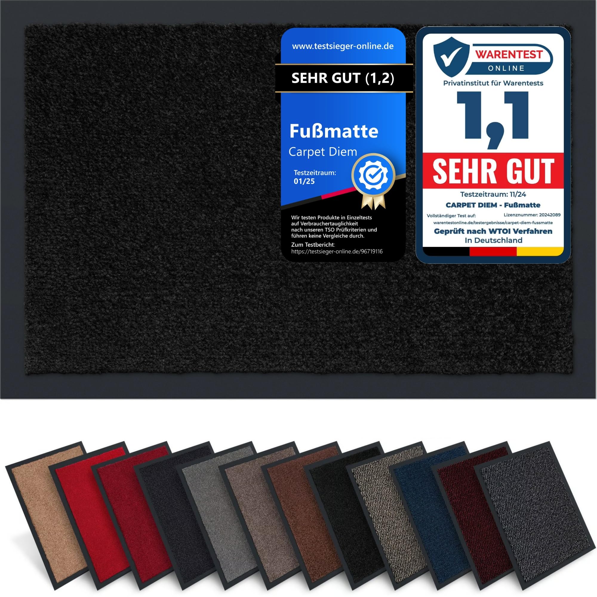 Carpet Diem Fußmatte, einfach sauber I Schmutzfangmatte Eingangsbereich - Fussmatte Innen & Außen, rutschfeste Türmatte, Schmutzfang Teppich für Haustür I Fußabtreter in Schwarz 80x120 cm
