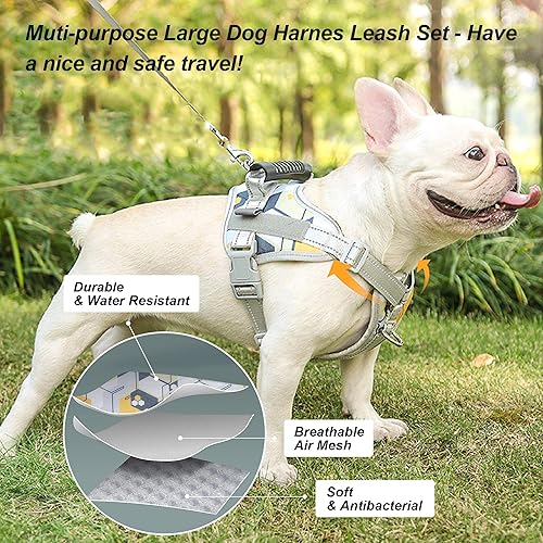 Miniatura 6 de ISPET - Juego de arnés y correa para perro sin tirones, arnés reflectante ajustable para perro con clip delanterotrasero y mango duradero para
