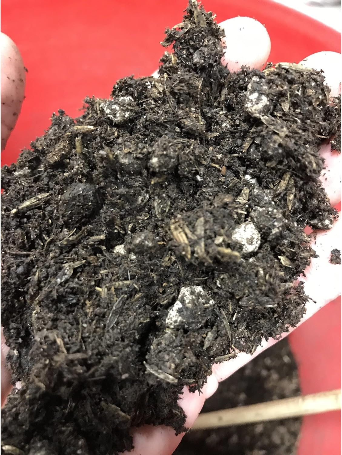 BuildASoil Light Garden Soil for Indoor & Outdoor Plants (1 Cubic Foot)