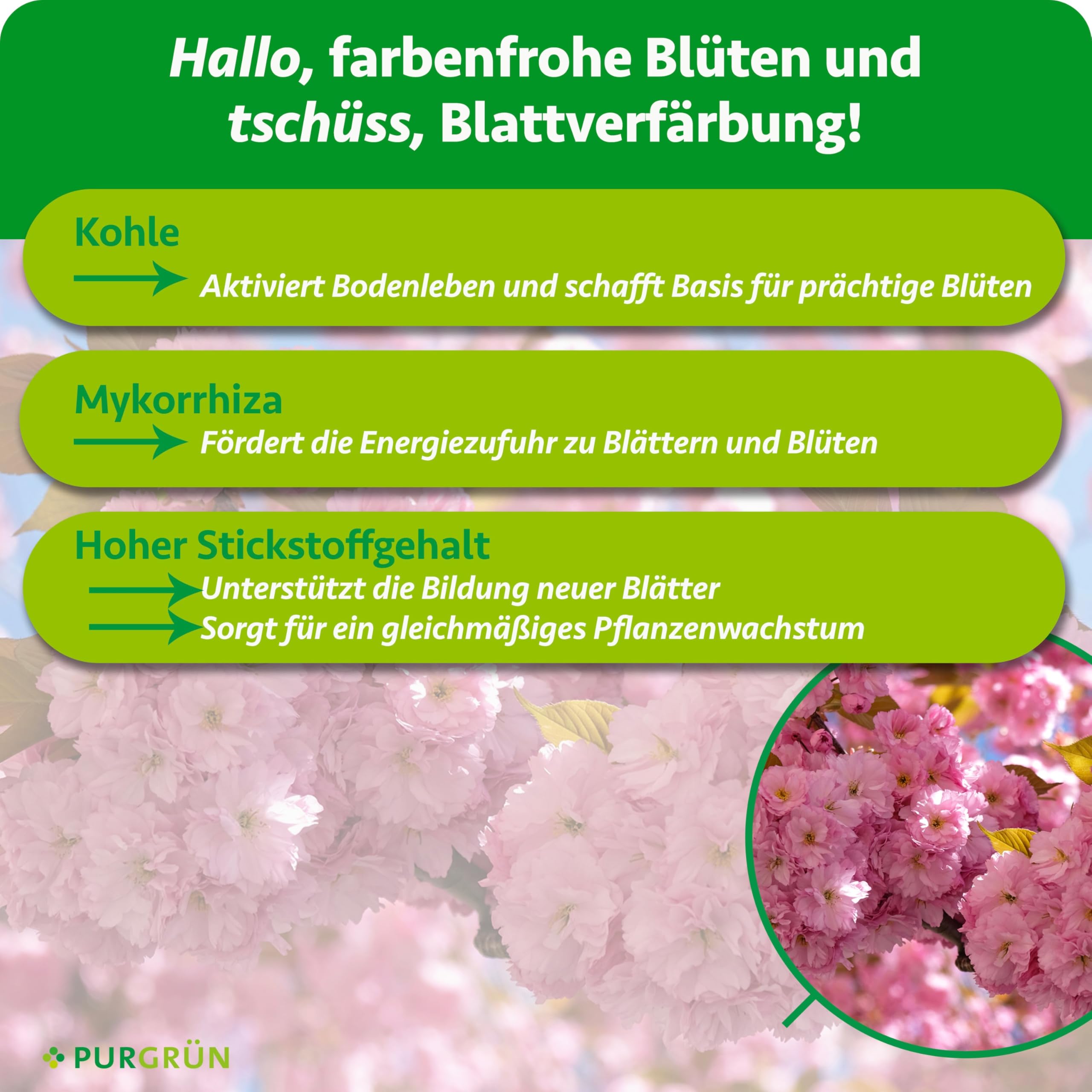 Bio-Zierkirsche-Dünger 1 kg – Organisch-mineralische Rezeptur – Feinkörniges Krümelgranulat – NPK 6+4+5 – Mit Magnesium für leuchtende Blüten – Verbessert die Bodenqualität