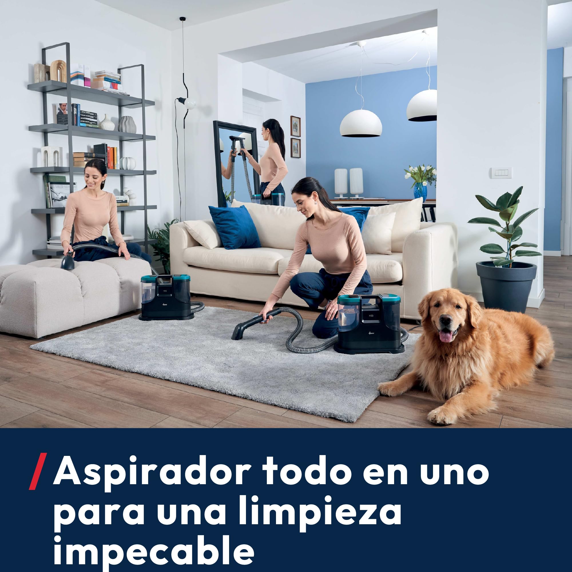 Hoover HS5 Limpiador de Manchas para Alfombras, Sofás y Cristales | Lava y Seca Tapizados, Compacta, Depósito 1,5L, Accesorio Ventanas, Ideal Manchas de Mascotas y Niños