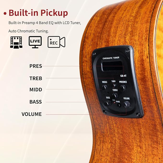 WISHMADE 5 String Bass Guitar Hollow Body Acoustic Electric Guitar with F Holes and Wood Grain Finish for Adults Includes Gig Bag miniatura 3