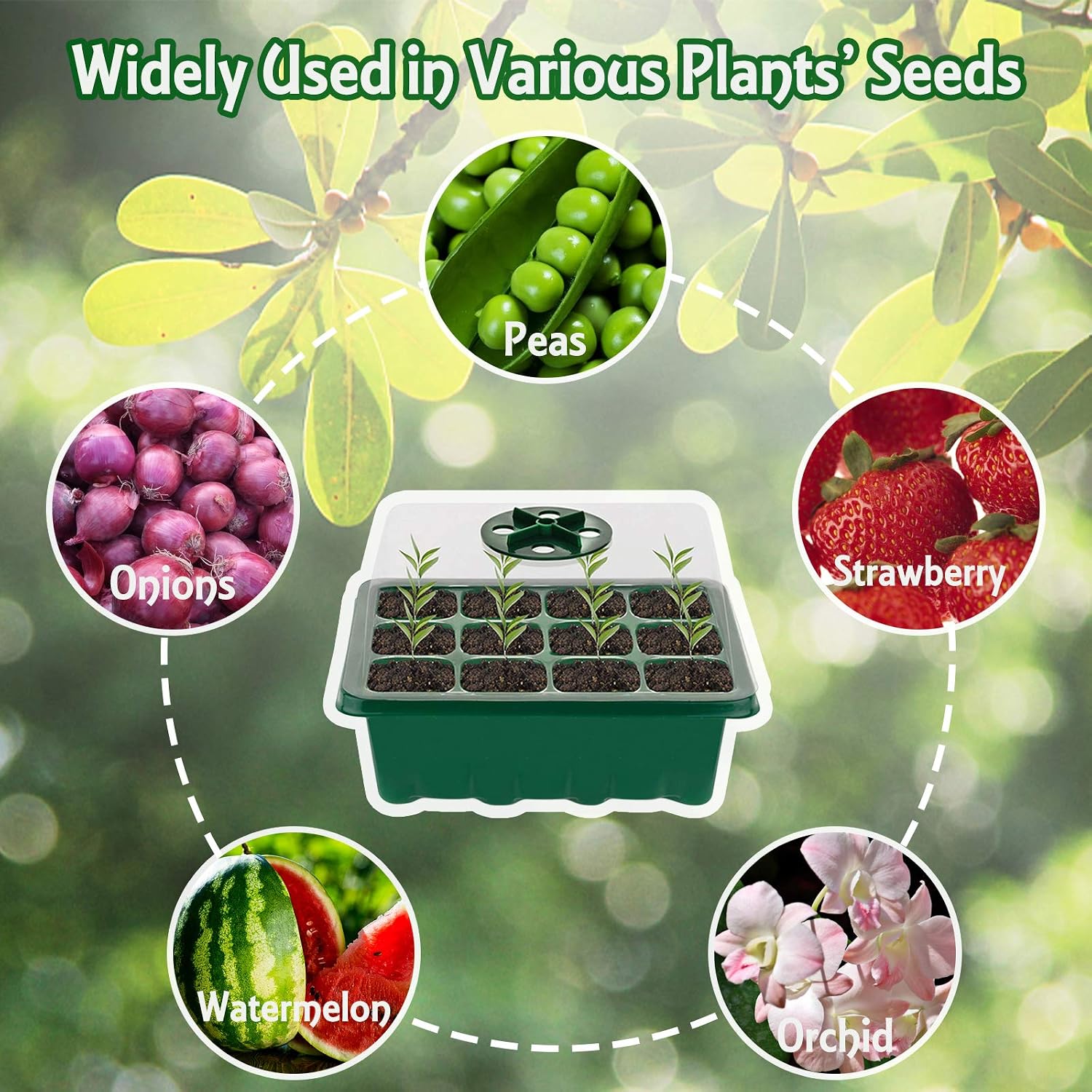 Legigo 20 Pack Seed Trays Seedling Starter Tray, 240 Cells Plant Germination Tray with Humidity Dome and Tray Base for Seeds Starting(12 Cells Per Tray), Green