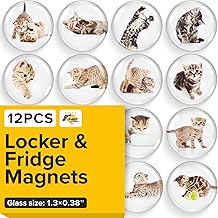 Super Cute Fridge & Locker Magnets – 12 Glass Magnets with Vibrant Colors – Strong Hold for Photos, Notes, Recipes – Aesthetic Refrigerator Decoration - Perfect for School & College Locker