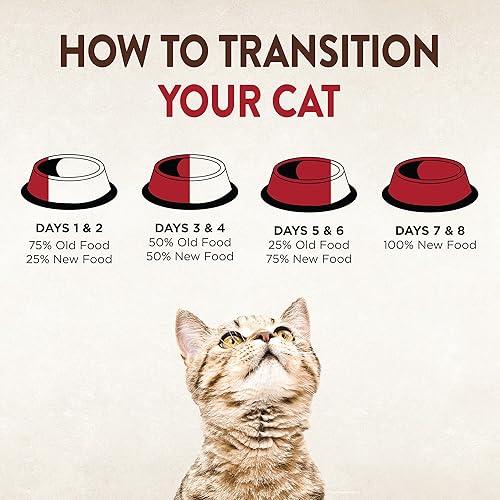 Miniatura 10 de Wellness CORE Signature Selects - Alimento húmedo sin granos para gatos, alimento natural para mascotas hecho con carne real