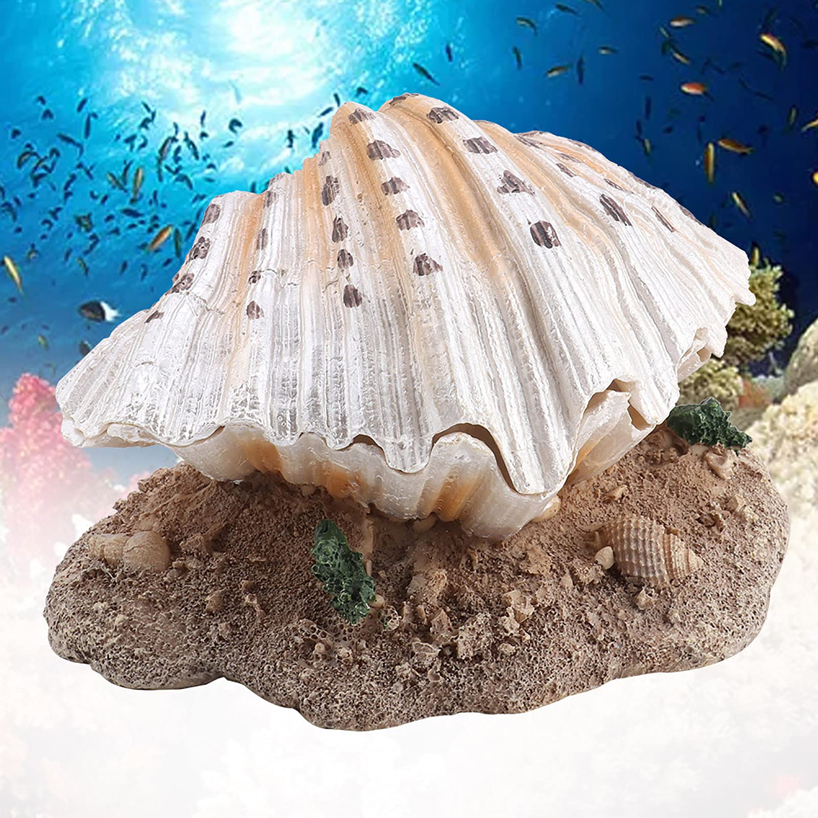 Yctze Fish Tank Decorations Shells Sea Shells for Fish Tank Aquarium Decoration Fish Tank Ornaments Coral Reef Ornaments for Fish Tank Shell Pearl Bubbler Artificial Coral Landscape Supplies - Image 2