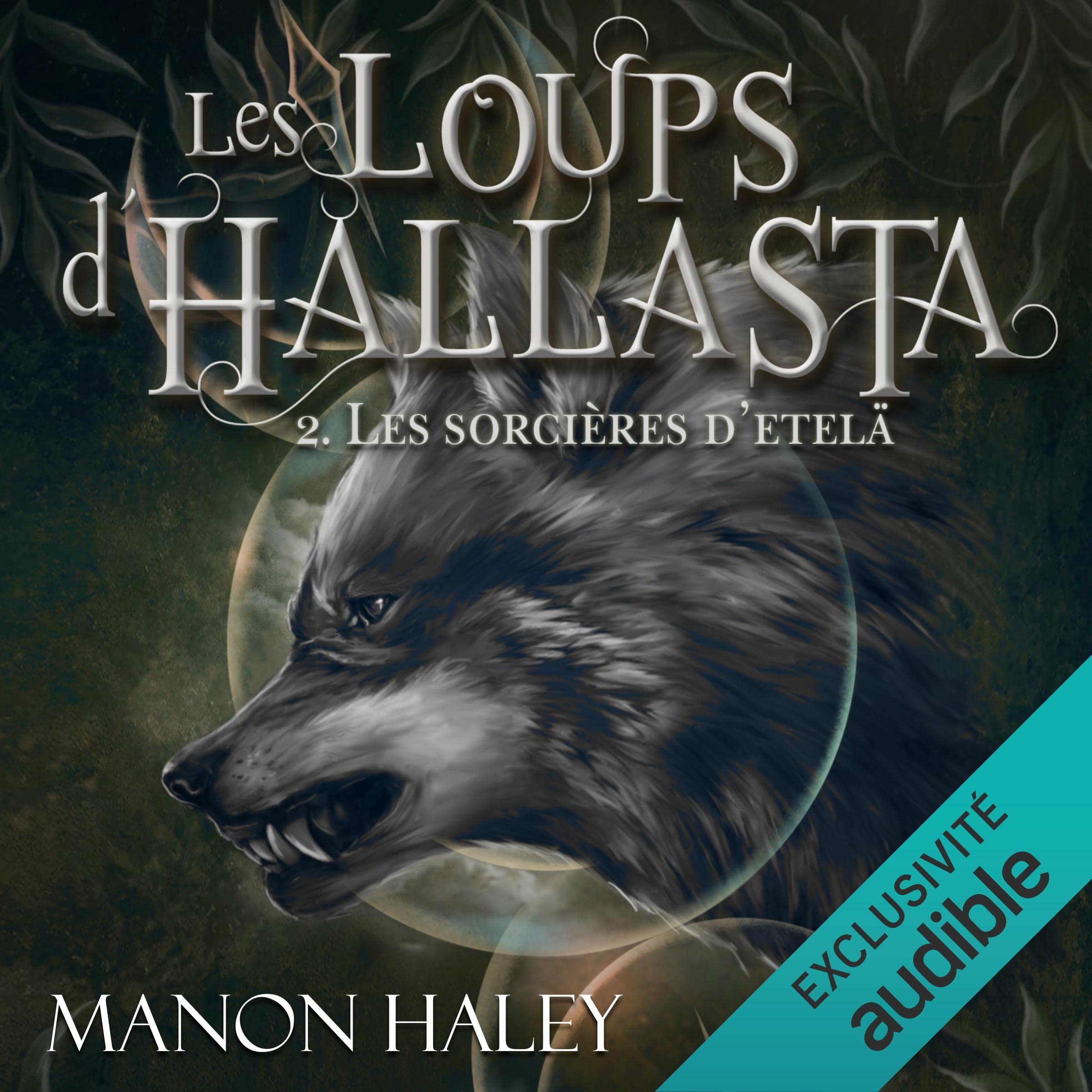 Cover art for Les sorcières d'Etelä
