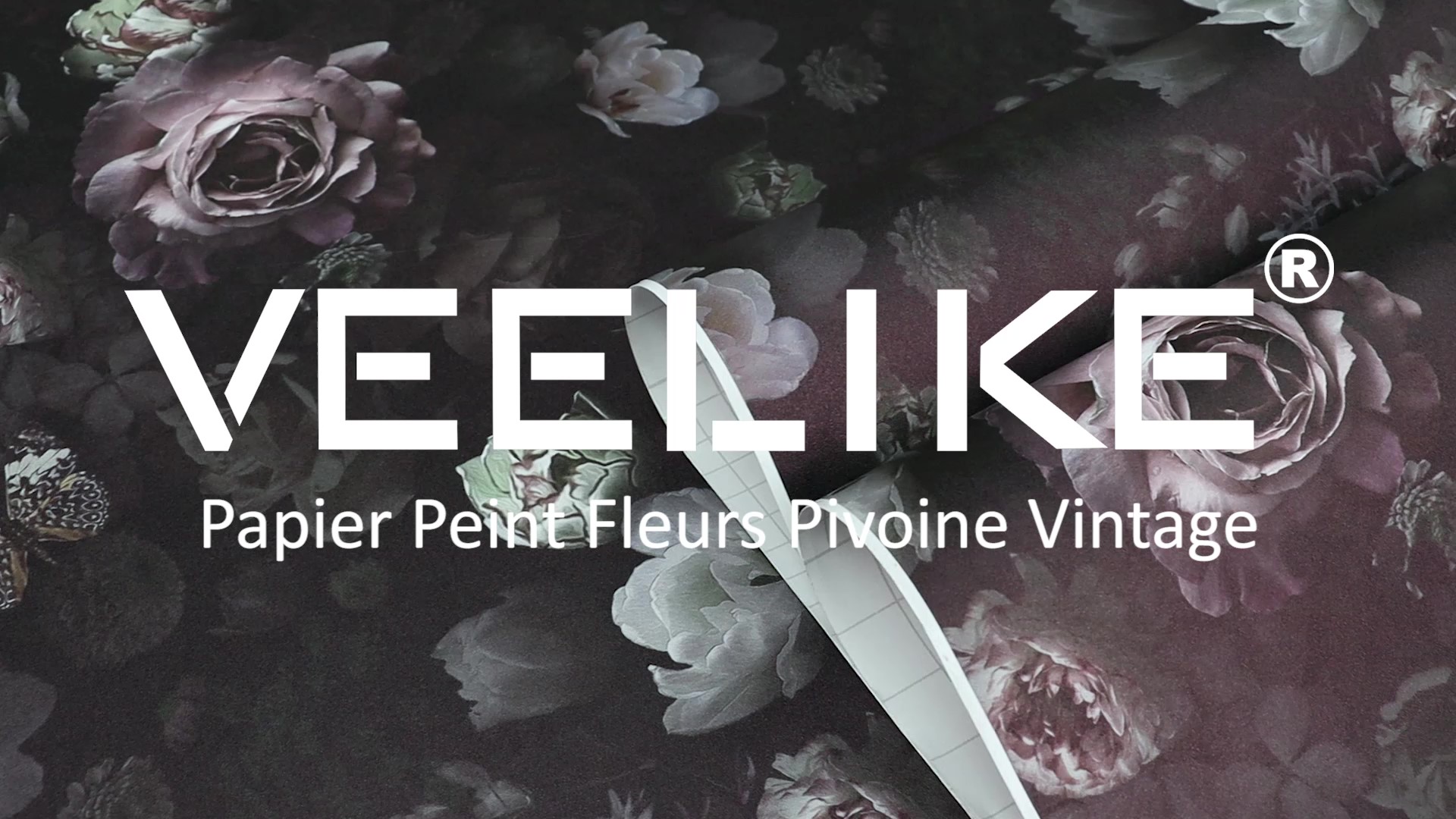 Autocollant Fleur Rose Chou Vectorisé Avec Bordure Blanche | Vecteur