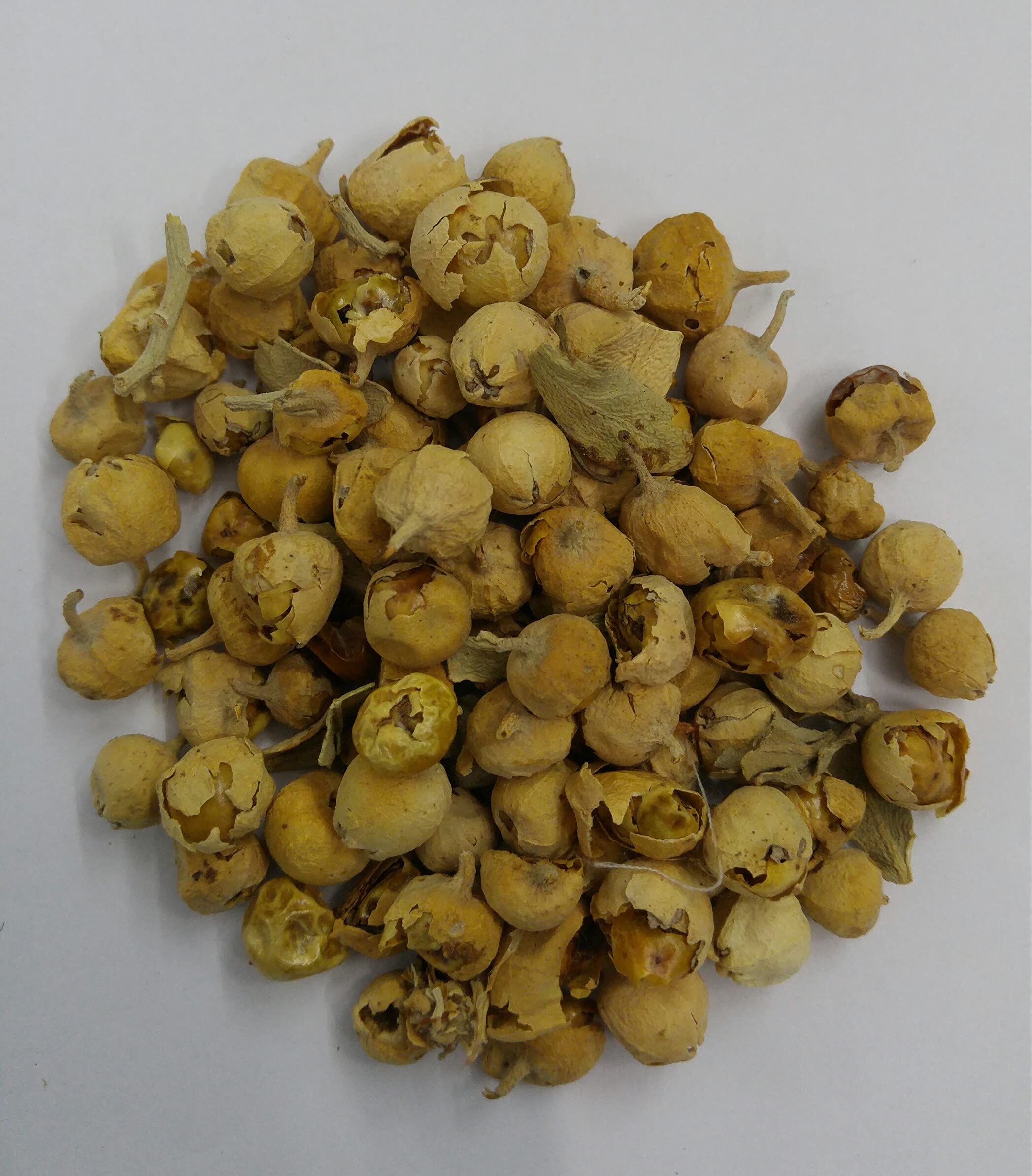Paneer DODI 50 GM-image-15