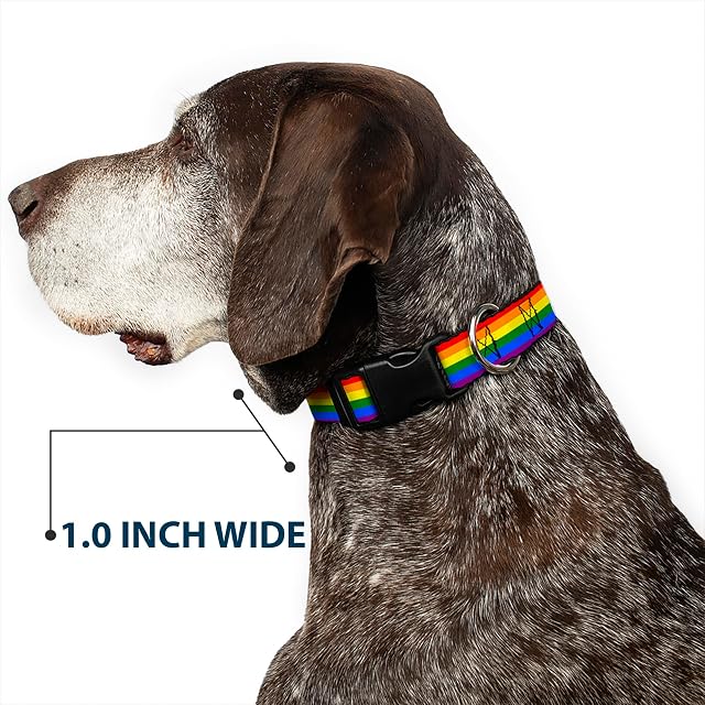 Foto 5 de 7 de Buckle-Down PC-W30693-S - Collar de Clip de plástico con diseño de Bandera del Orgullo Gay, pequeño/9-15