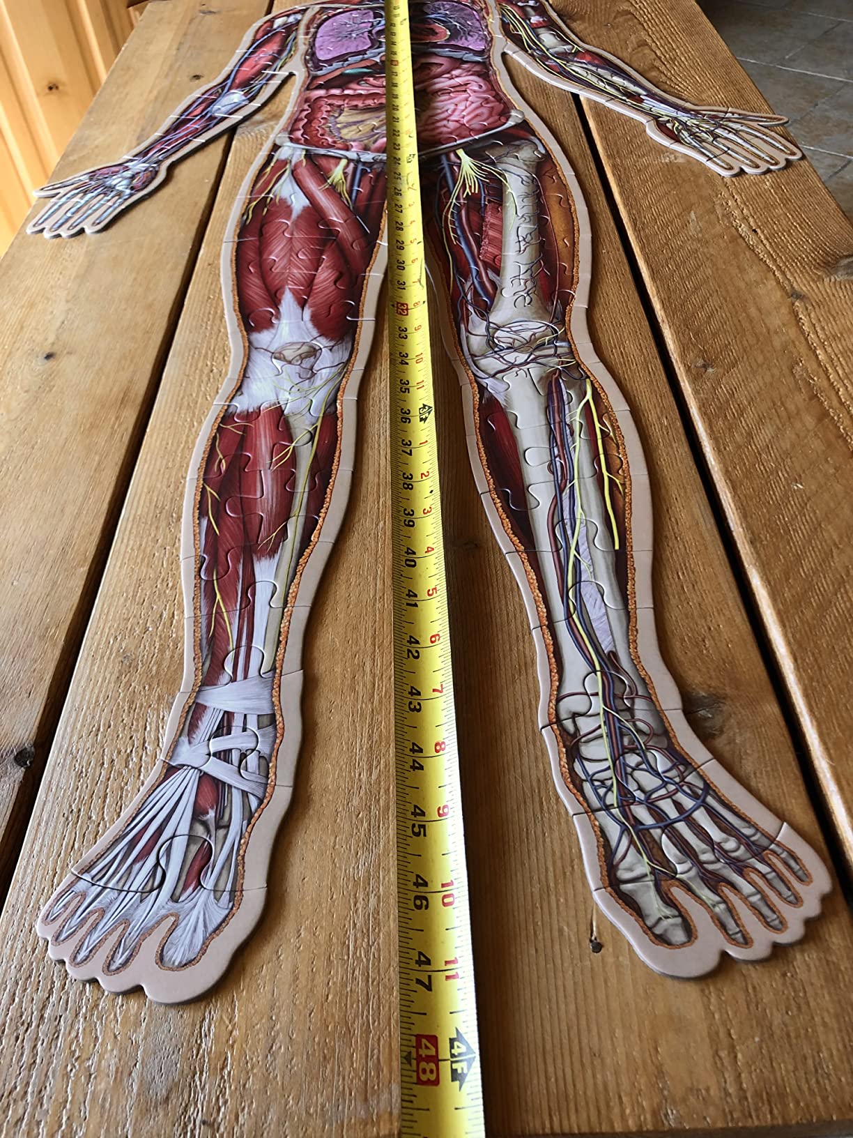 Human Brain Floor Kids Puzzle | 100 Piece Unique Shaped Science