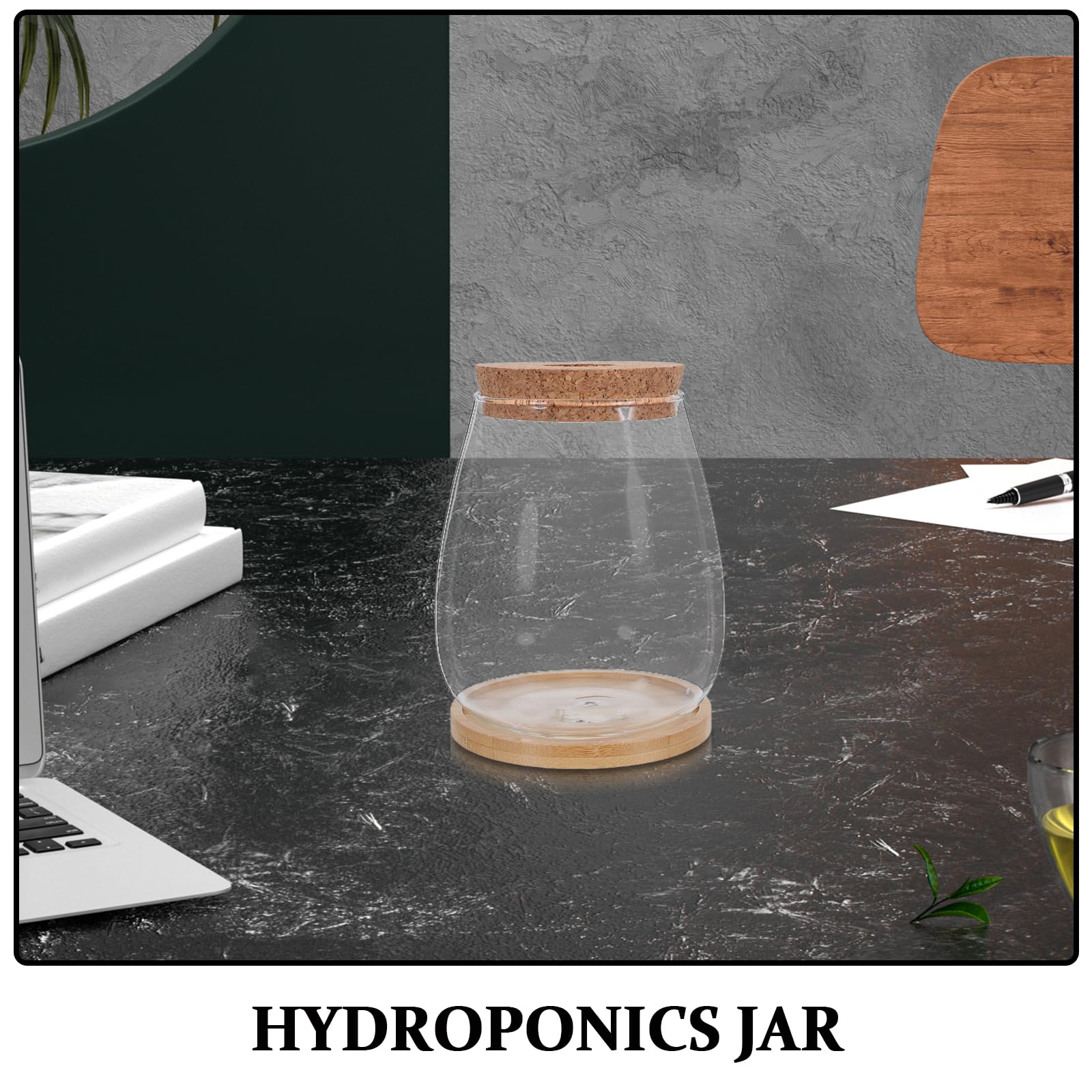 Toyvian Lot de 2 Sets de Vases de Propagation en Verre Hydroponique Grand Format avec Bouchon en Liège et Support en Bambou, Stations de Culture Solide pour Plantes D’intérieur Bureau