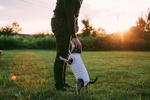 Miniatura 10 de Traje de recuperación de cirugía para perros para esterilización femenina, traje quirúrgico para perros hembras grandes, algodón peinado suave,