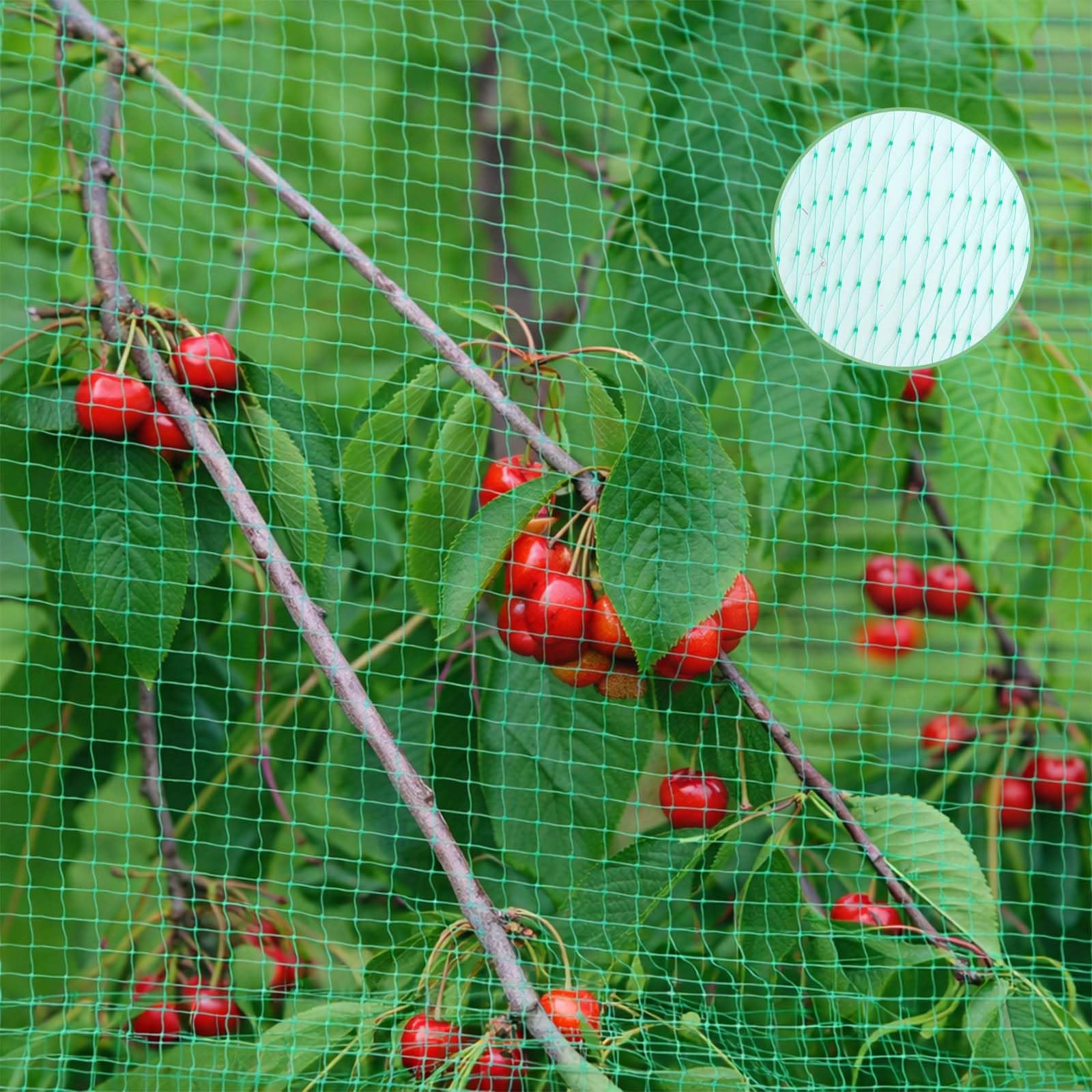 Vogelschutznetz 4x12m, Vogelnetz Engmaschig, Taubennetz Balkon, Hühnernetz, Pflanzennetz, Teichnetz, Vogelschutznetz Engmaschig, Gartennetz Obstbaumnetz für Teich, Balkon, Erdbeer, Löcher 2x2cm-Grün