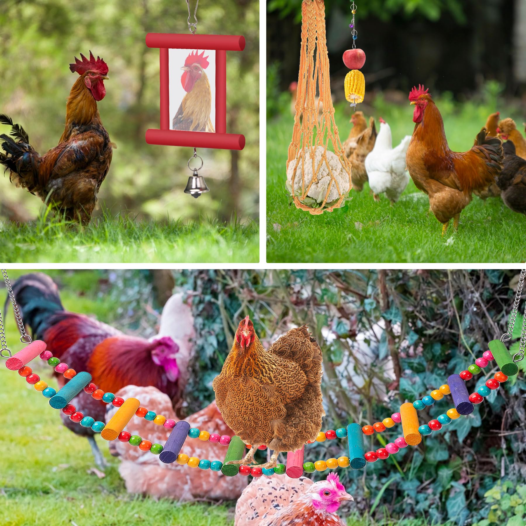 14 Juguetes de Pollo para Accesorios de gallinero – Columpio de Pollo de Cadena más Larga, Juguetes de Pollo para gallinas en el gallinero, Perca de Pollo, Juguete de Espejo de Pollo con