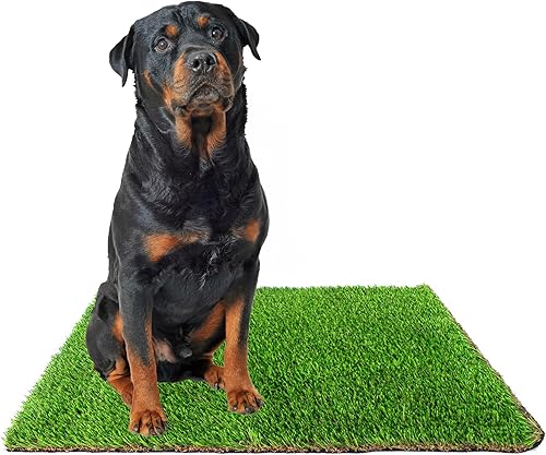 Downtown Pet Supply Pasto de repuesto para orinal para perros, 30 x 40 pulgadas, almohadilla de césped sintético lavable para perros, adecuada como