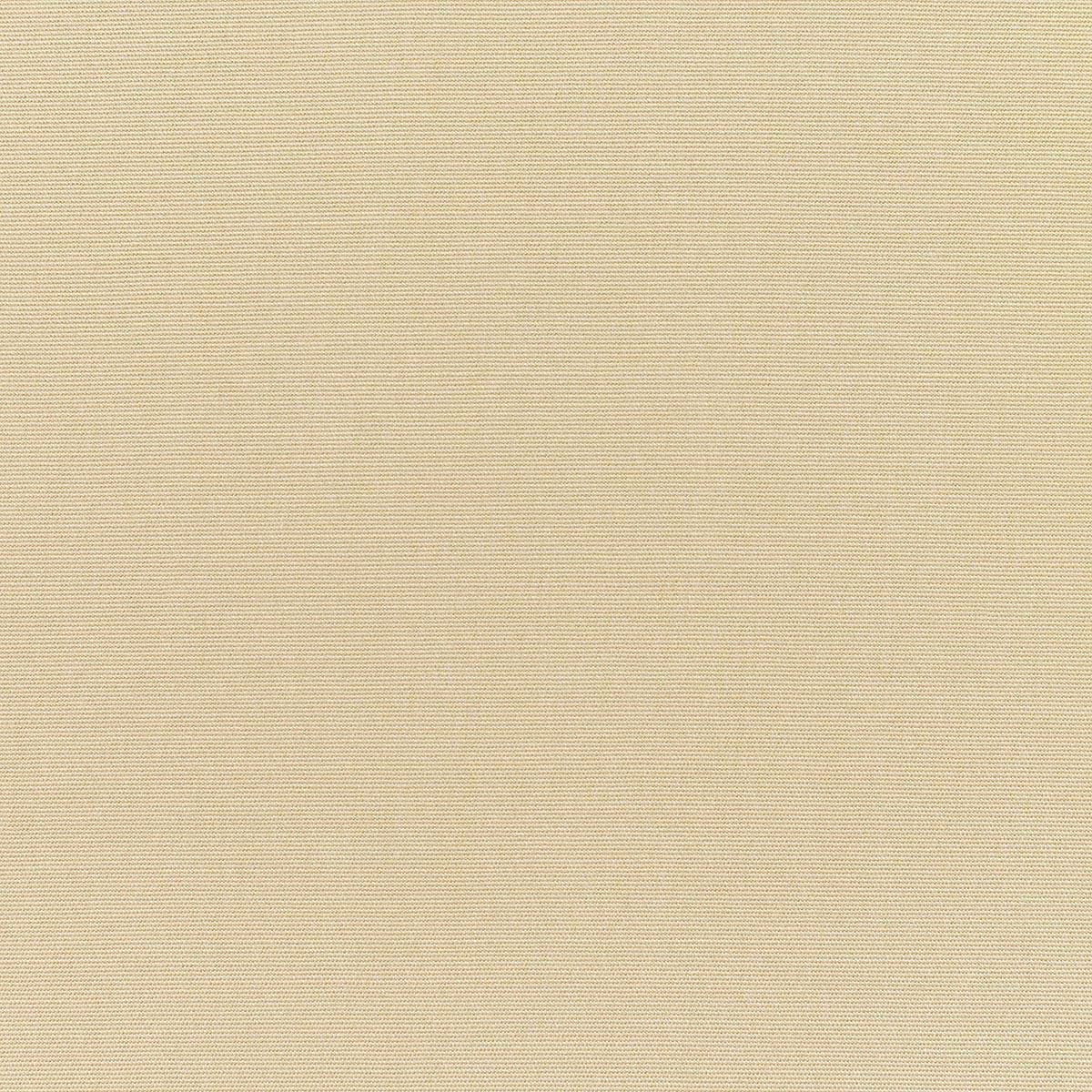 RSH DECOR: Lumbar Throw Pillows Set of 2 | 20” x 12