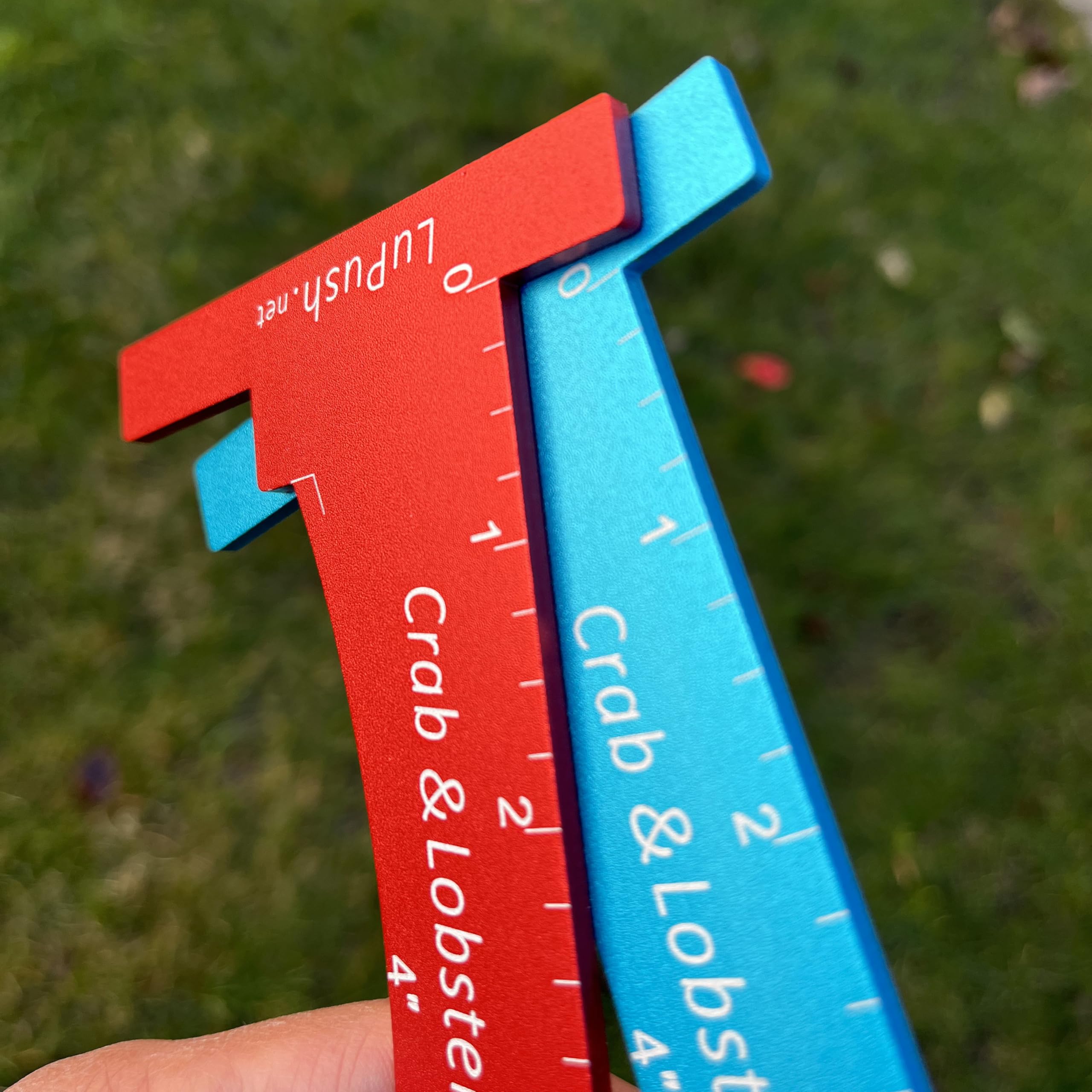 Crab Gauge & Lobster Ruler - Heavy Duty -3