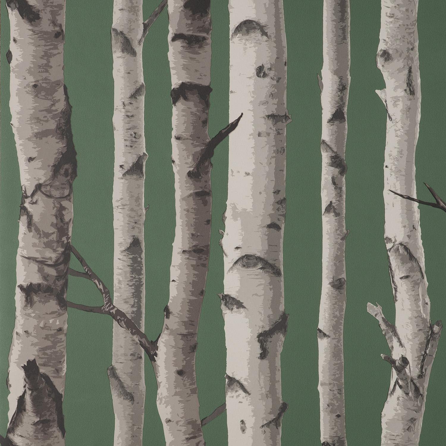 Yöl Dark Green Birch Trees Wallpaper - Nature Branches Grey - Modern. Contemporary, Feature Wall, Paste The Wall
