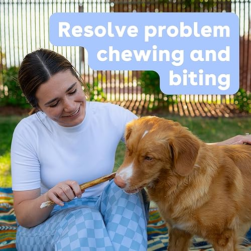 Miniatura 3 de Pupford Palitos gruesos para perros y cachorros, ahumados para mejorar el olor, naturales, de larga duración, masticables de un solo ingrediente