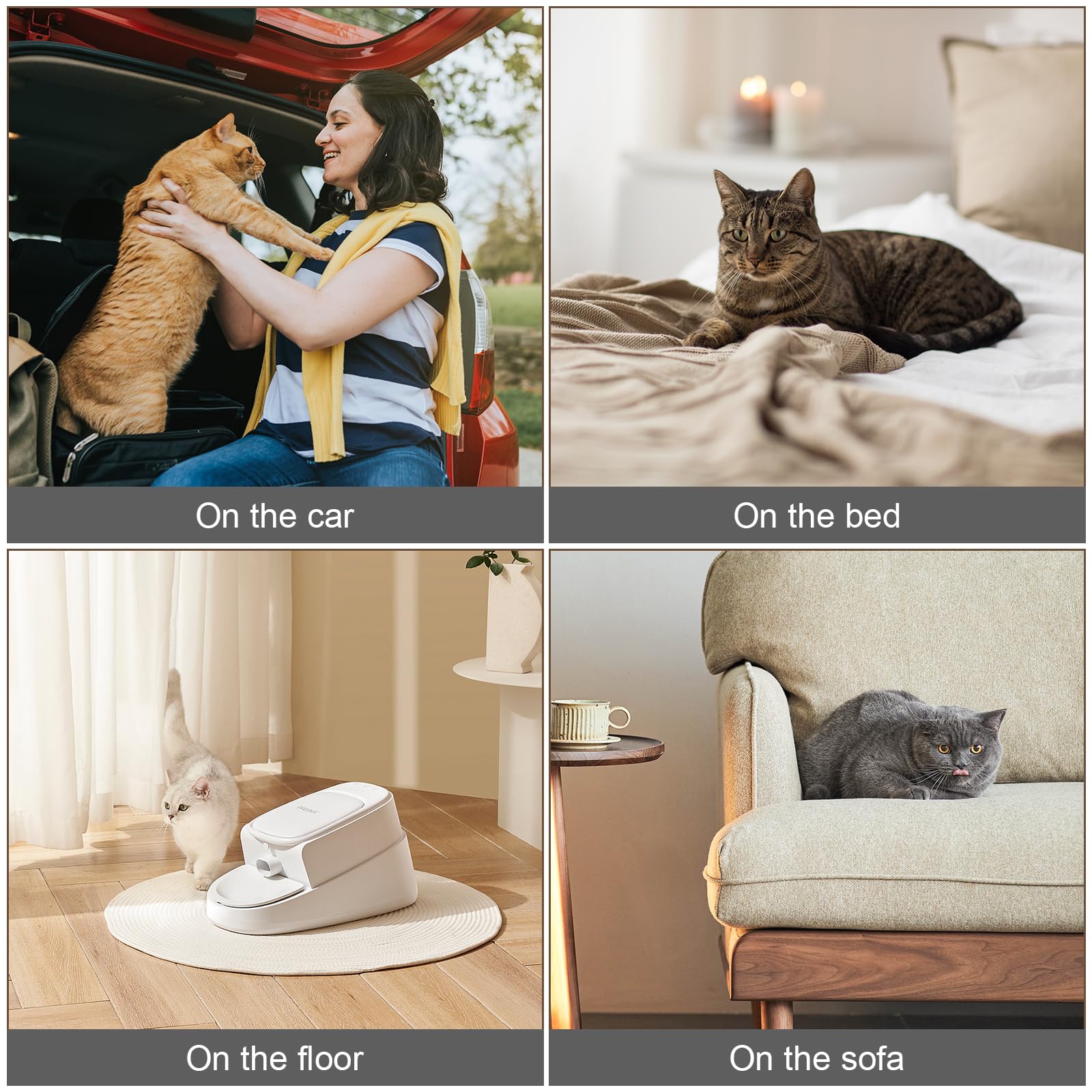 Sporgo Selbstheizende Decke für Katzen Hunde: Wärmematte Heizdecke Katzenbett Katzendecke 40x50cm, Selbstwärmende Heizmatte Thermische Decke, Waschbare Hunde Thermodecke, Grau