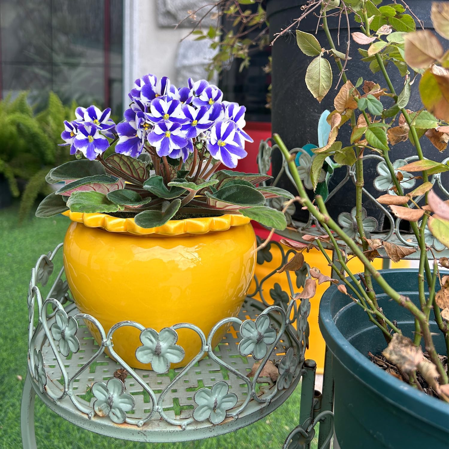 African Violet Pots Ceramic 6.5 * 4.6 inch Self Watering Planter Yellow Flowers and Plants Highly Absorbent Inner Planter Pot for Tropical Plants Elegant for Indoor Plants
