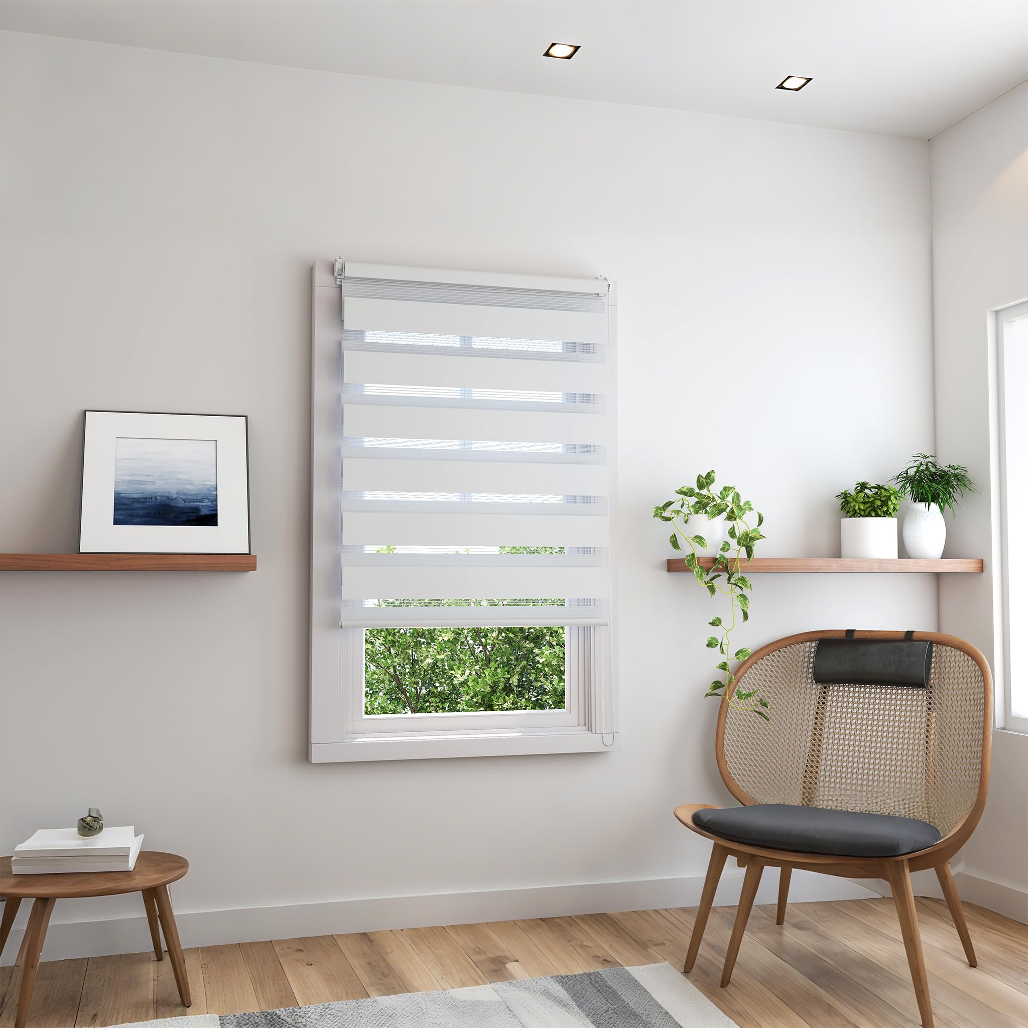 Doppia tenda a rullo, fissaggio senza fori, protezione privata, con trasmissione della luce e oscurante, altezza regolabile, tenda a rullo zebrare, tenda laterale larghezza 120 x 220 cm