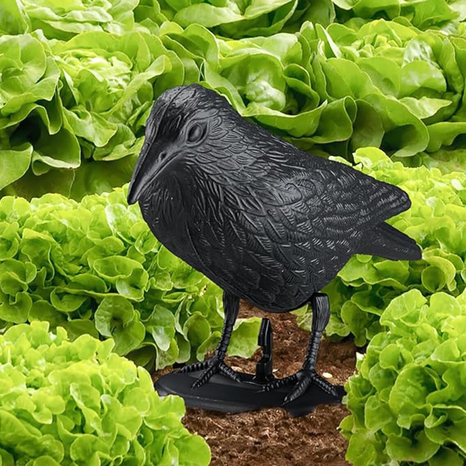 ♡最終値下げ♡カラス オブジェ 鳥よけ インテリア 防鳥グッズ 害鳥対策 Amazon.co.jp: カラスよけ 烏撃退 鳥よけ 鳥避けグッズ 鳥よけ 鳩よけ