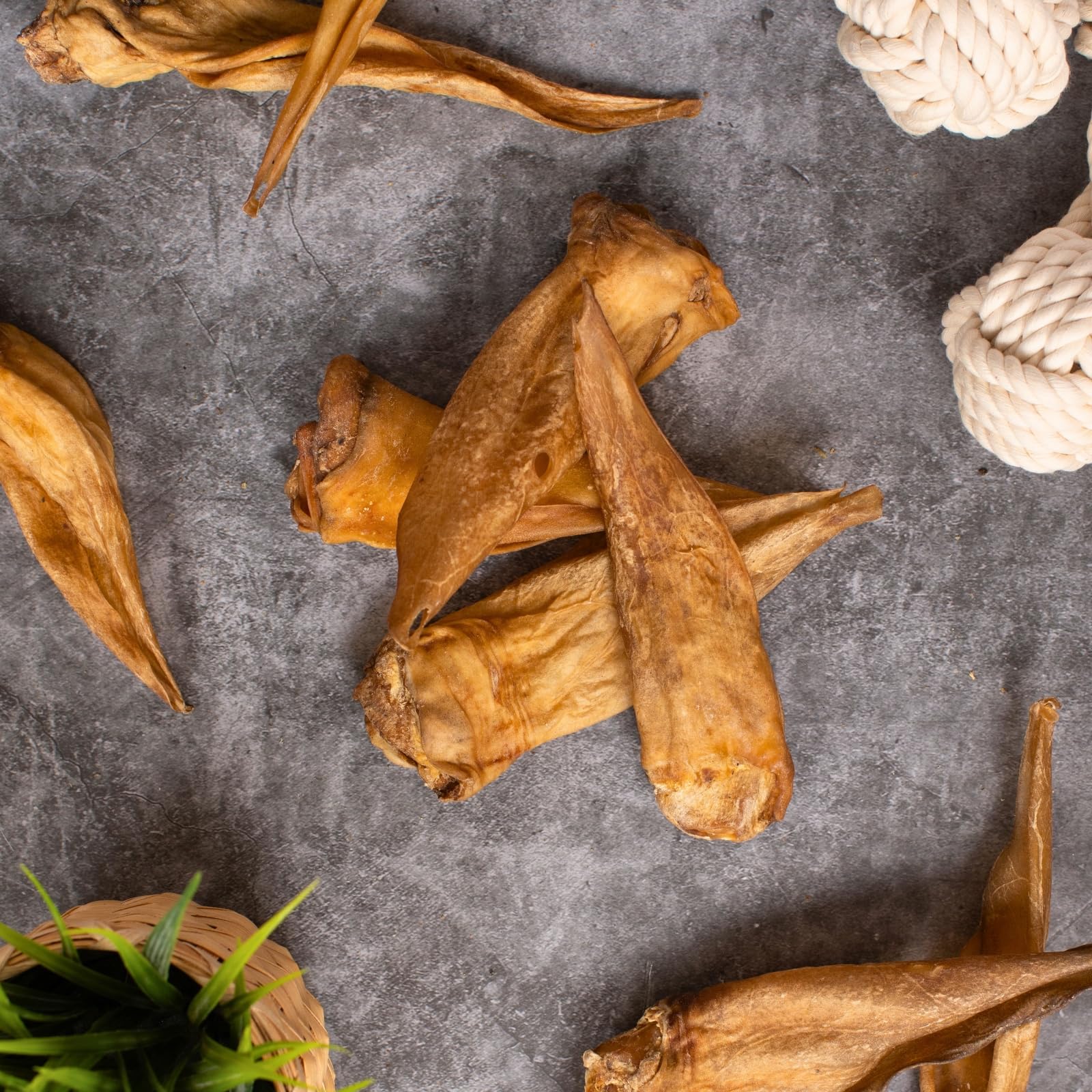 Lyra Pet® 100 Rinderohren getrocknet ca. 3 kg Kausnack für Hunde Leckerli | Naturbelassenes Leckerli - Ideal für die Zahnpflege - Gut verdaulicher Kauartikel - Proteinhaltiges fettarmes Hundefutter