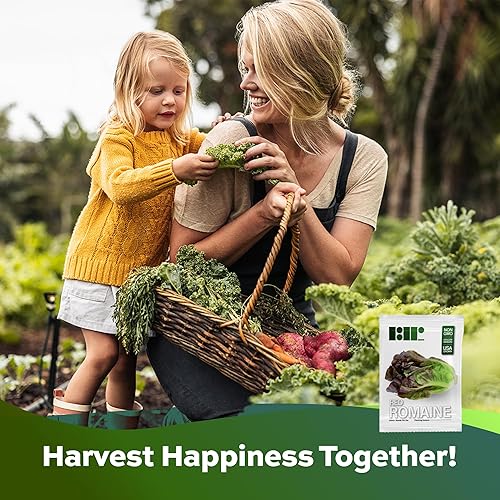 Miniatura 6 de 1000 semillas de lechuga romana roja, reliquia, sin OMG, cultivadas en Estados Unidos, semillas de lechuga premium en embalaje de primera calidad -