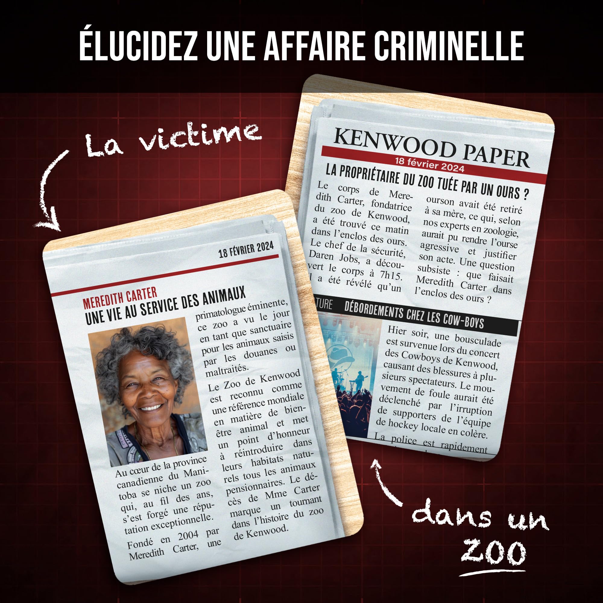 Platonia Games Pocket Criminal Records, Who Killed Meredith Carter's Murder in a Zoo in Canada, New Concept - Image 2