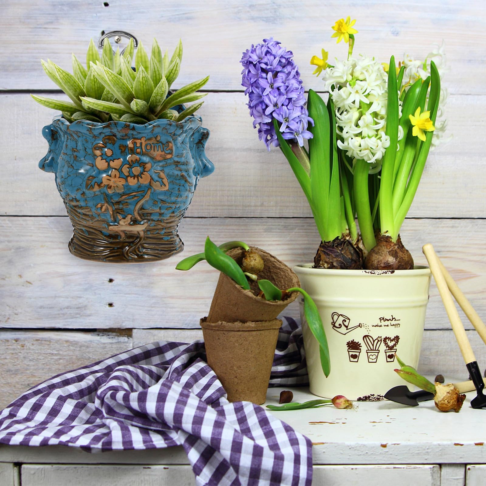 Maceta de Cerámica Colgante en Pared para Suculentas y Bonsái Práctica y Decorativa para Espacios Interiores y Jardines Pequeños