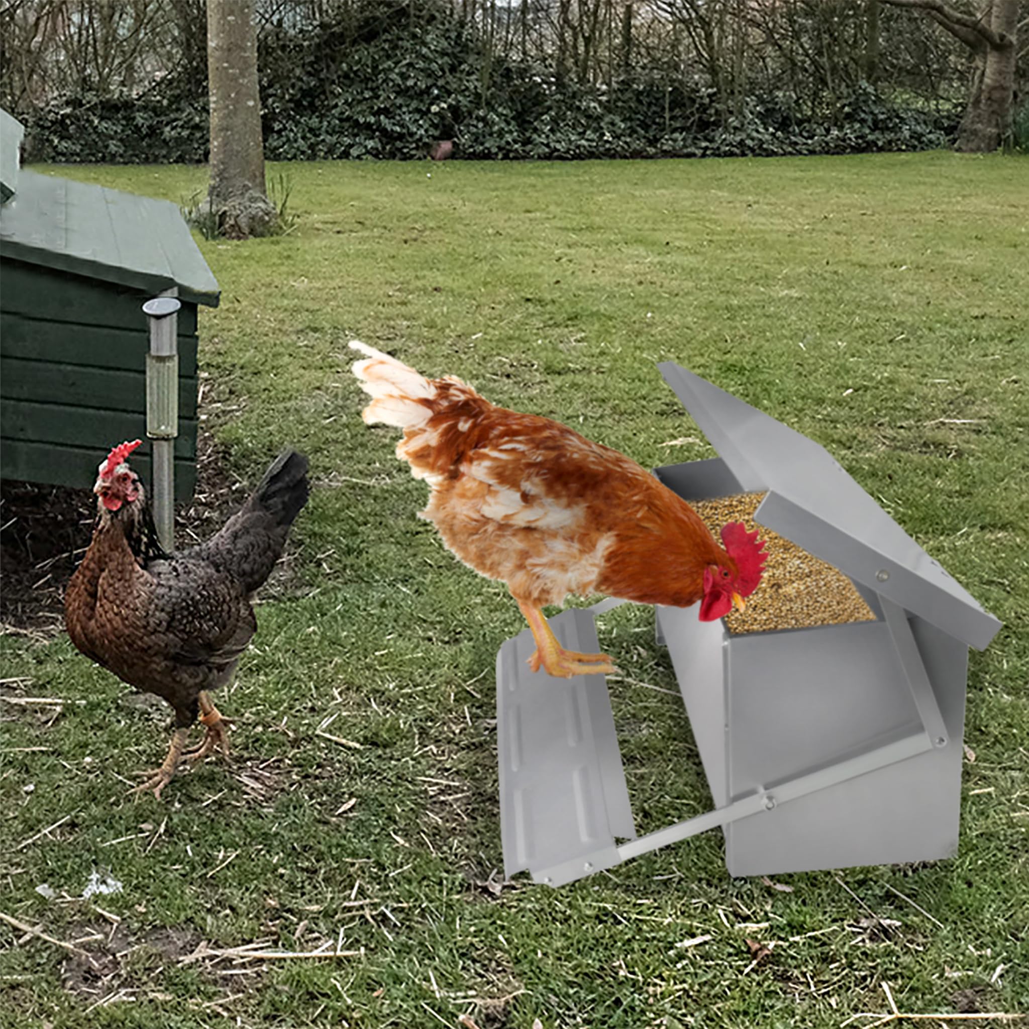NAIZY Automatyczny automat do karmy dla kur o pojemności 10 kg, dozownik karmy ze stopu aluminium z pedałem, koryto na karmę dla drobiu dla kur i drobiu