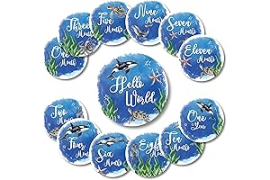 13PCS Wood Milestone Discs for Baby Monthly Photography Props with Milestone Blanket