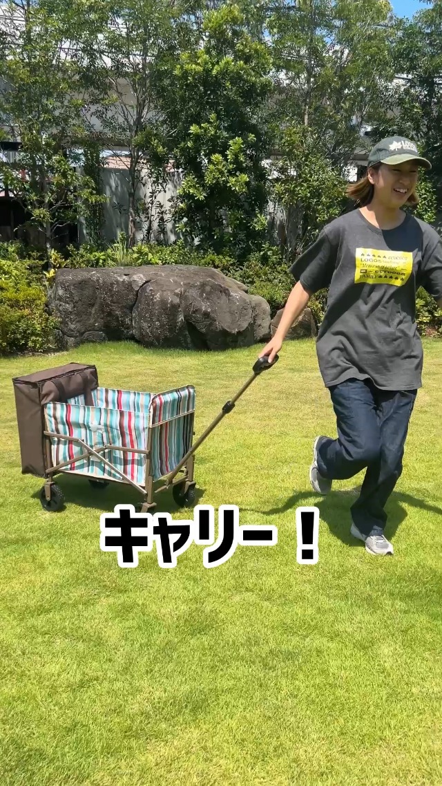 Amazon | ロゴス（LOGOS） 丸洗いバッグインキャリーカート（ブルー