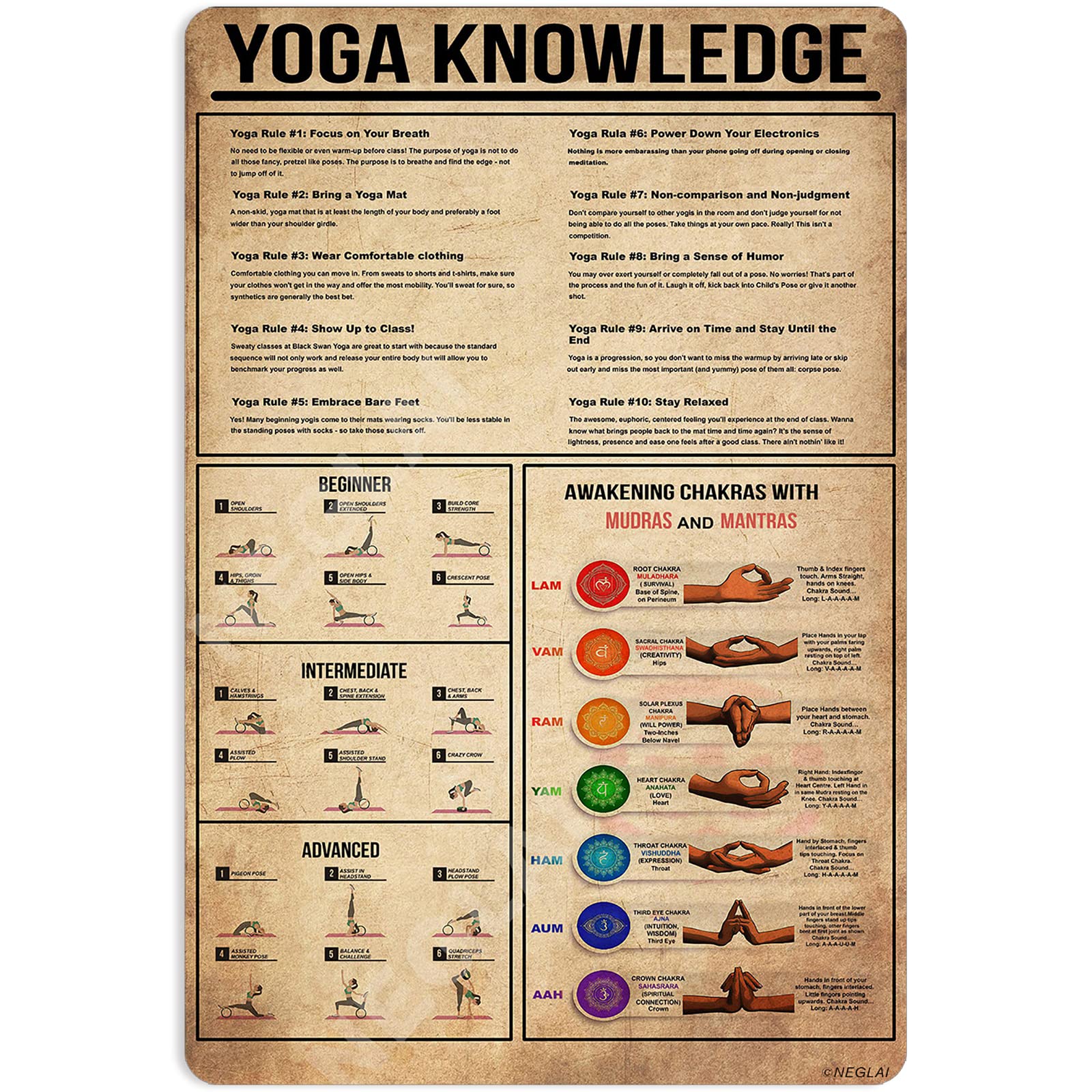 peiyeety Vintage Yoga Knowledge Poster Metal Aluminium Tin Sign 8x12 Inch Wall Decor