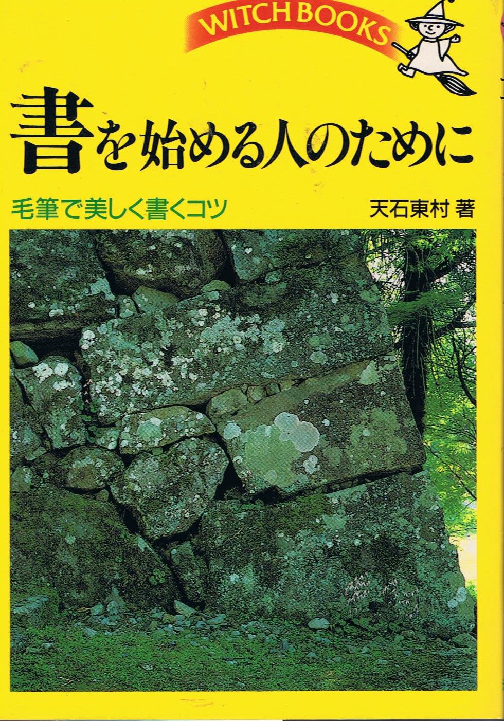 Amazon.co.jp: 天石 東村: 本、バイオグラフィー、最新アップデート