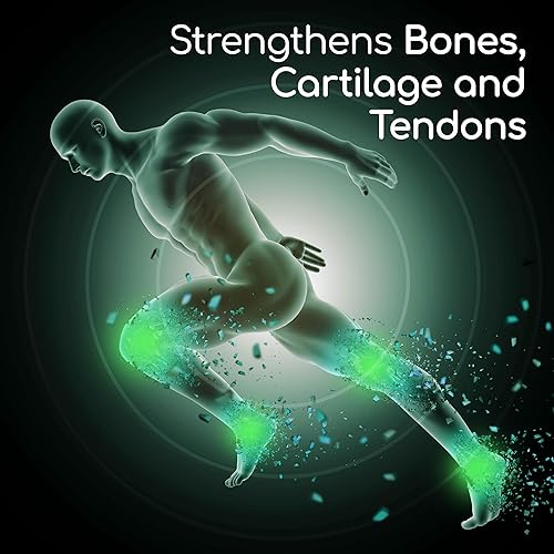 Miniatura 5 de X Ray - Suplemento de salud articular de alta potencia, con glucosamina 1500 mg, condroitina 300 mg, MSM 120 mg, soporta articulaciones saludables