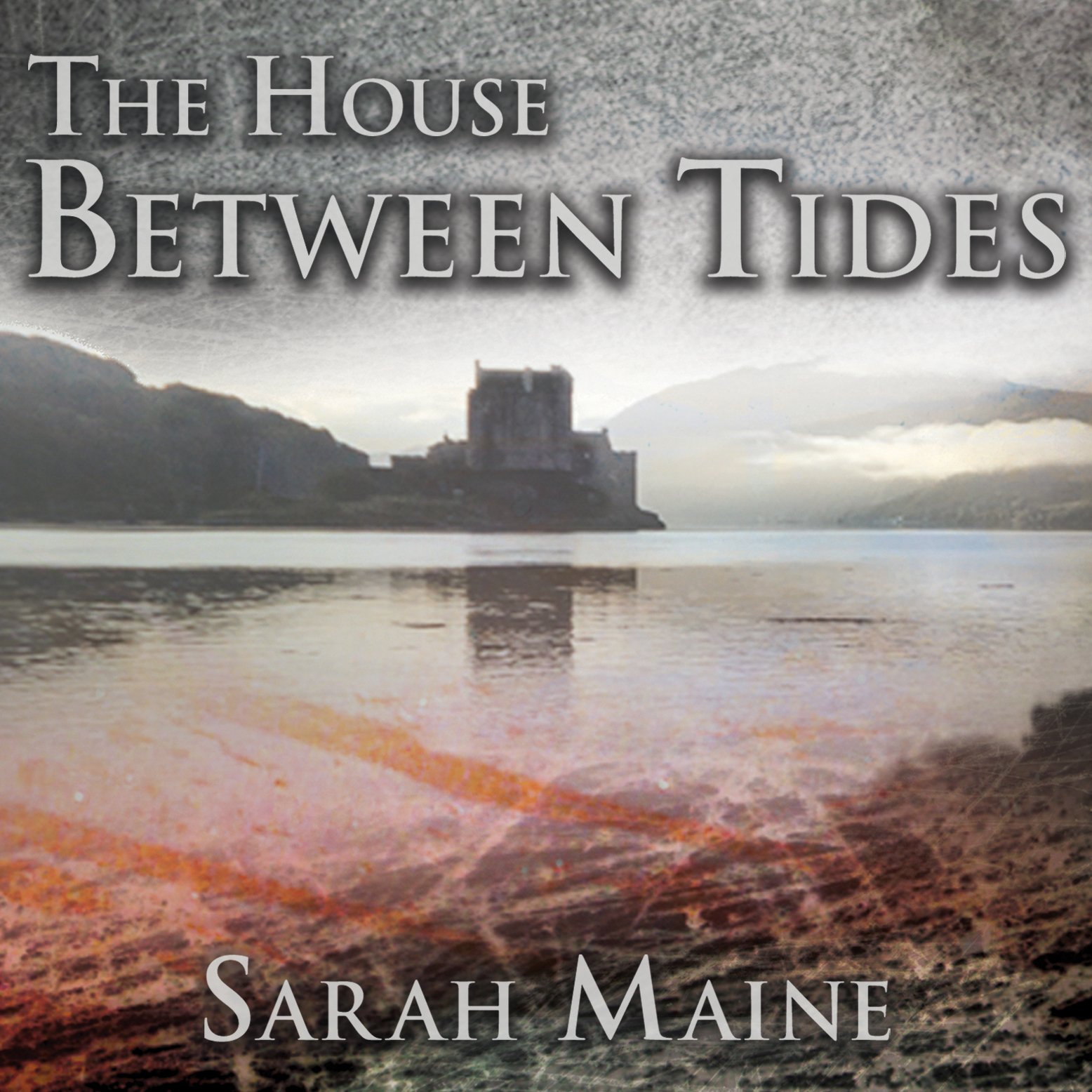 Cover art for The House Between Tides