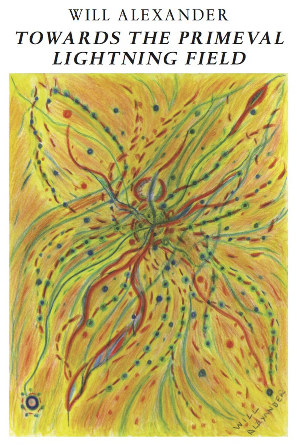 Towards the Primeval Lightning Field