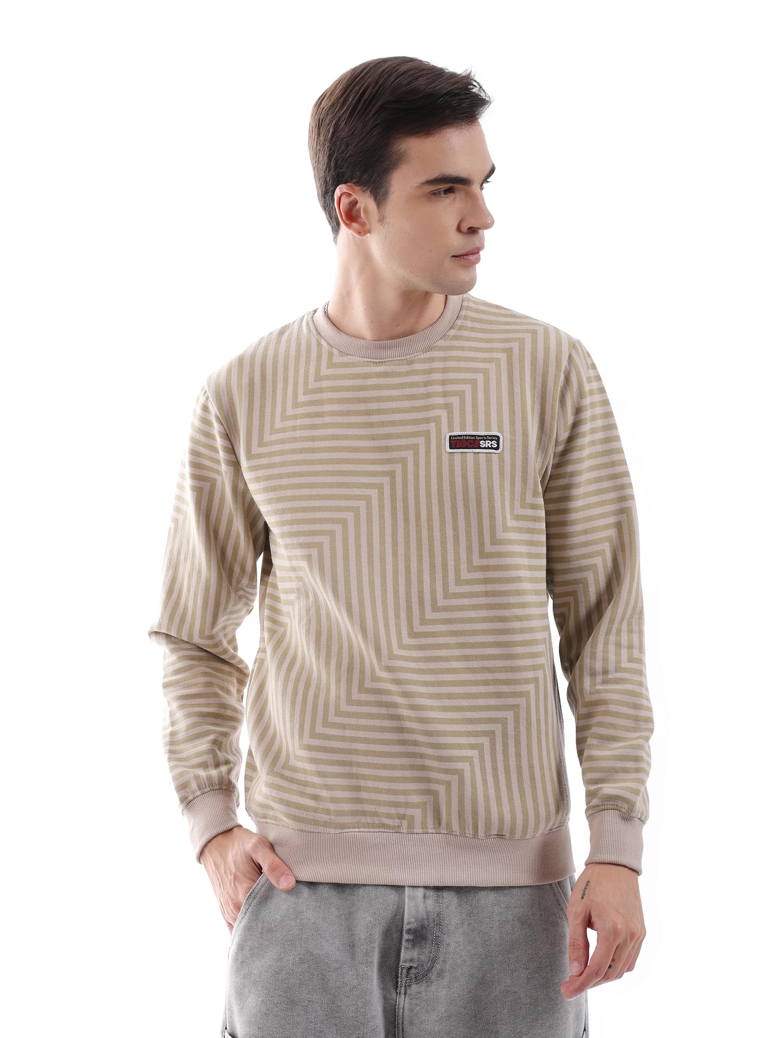 Men Regular Fit Striped Crew Neck Overhead Sweatshirt