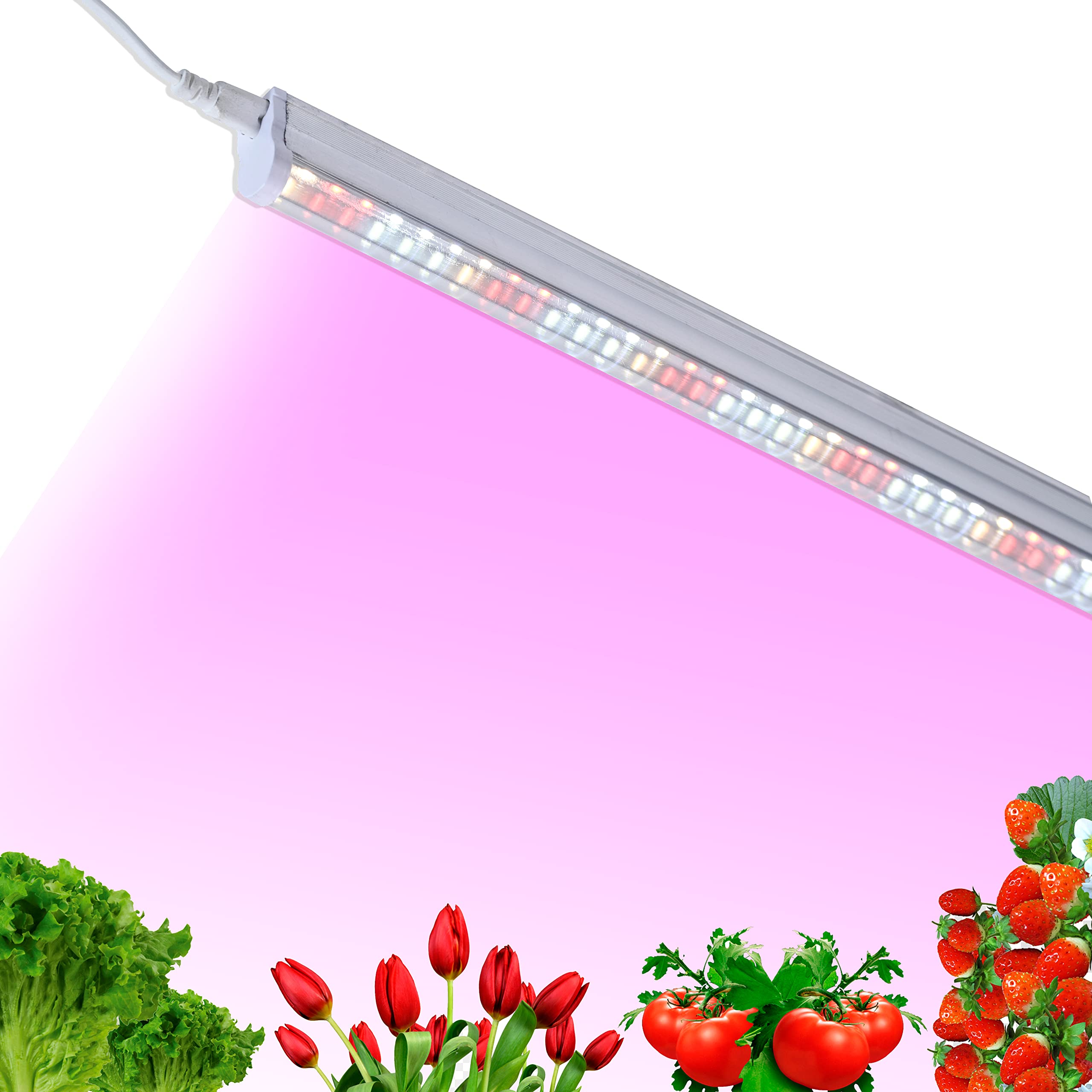 Lano AgriTech PortaSun 2feet 22W Full Spectrum Plant Grow Light w/UV LED Bulb for Indoor Plants & 2 Light Stands for Indoor Plants, Terrace Garden, Hydroponics, Aquaponics, Aquarium (20 w/ 2 Stands)