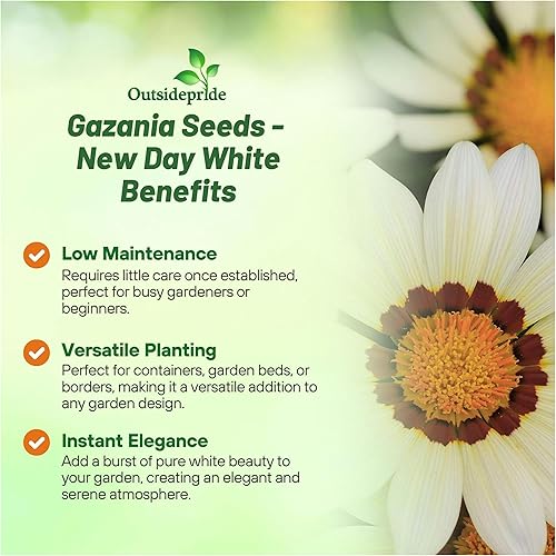 Miniatura 3 de Outsidepride Gazania - Plantas de jardín tolerantes al calor y la sequía 100 semillas