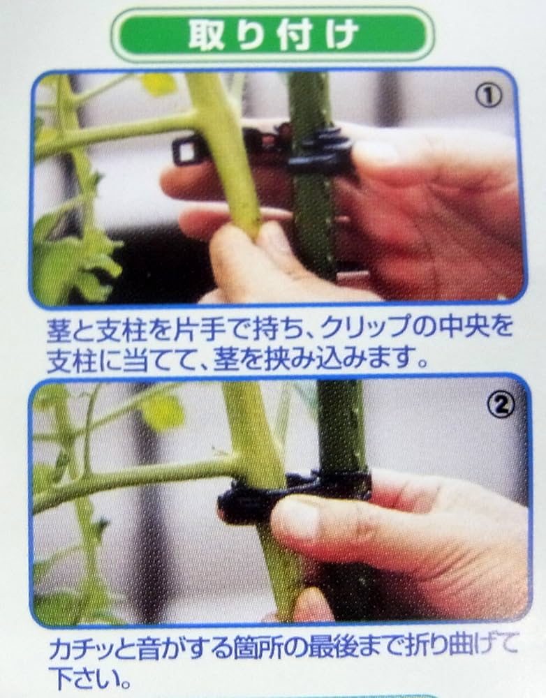 新品　しちゅうキャッチ 16 　3000個 商品紹介】しちゅうキャッチ16｜有限会社シーム