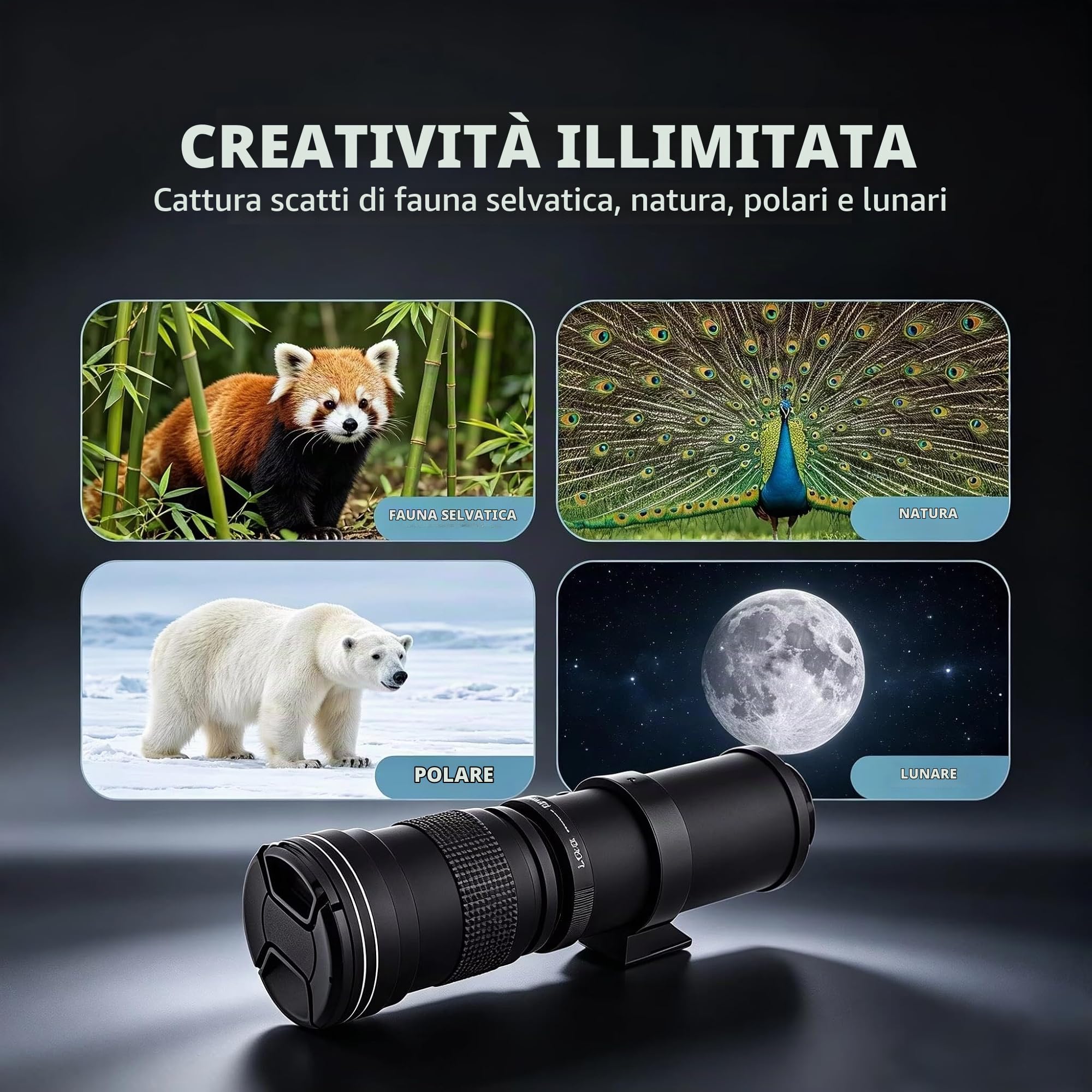 JINTU 420-1600mm f/8.3 HD Manuale Teleobiettivo per Nikon D5500, D5600, D7100, D7200, D7500 D500, D600, D610, D700, D750, D800, D810, D810a, D850, D3400, D5000, D5100, D5200, D5300 DSLR