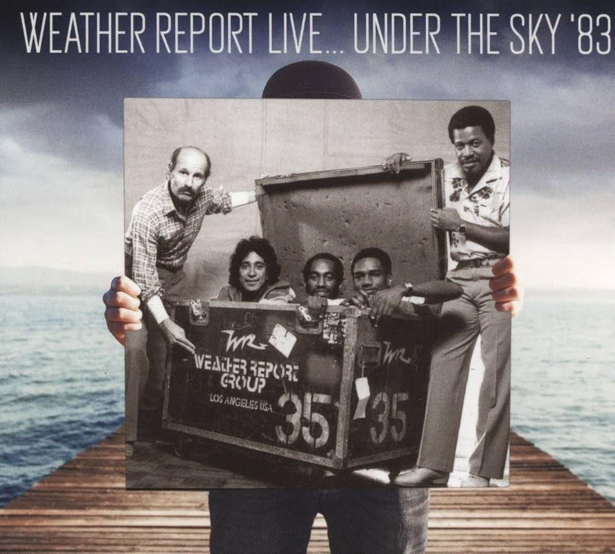 リキッド・スカイ liquid sky カルト映画サントラ完品国内盤CD