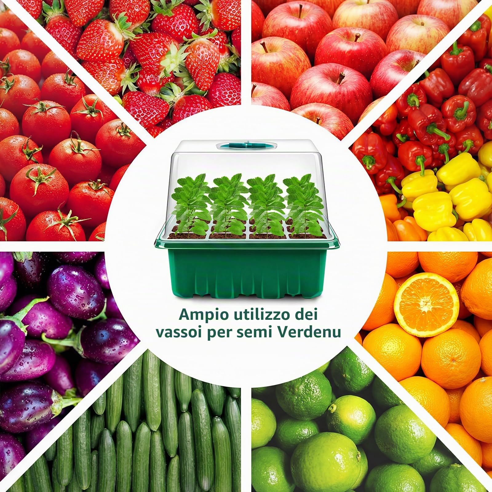 Verdenu Semenzaio, 6 Pezzi Semenzaio Germinazione, Mini Serra Rialzata Alveoli per Semina, 12 Fori di Propagazione dei Semi, Vassoio Germinazione per Semi con 7 Strumenti di Ventilazione