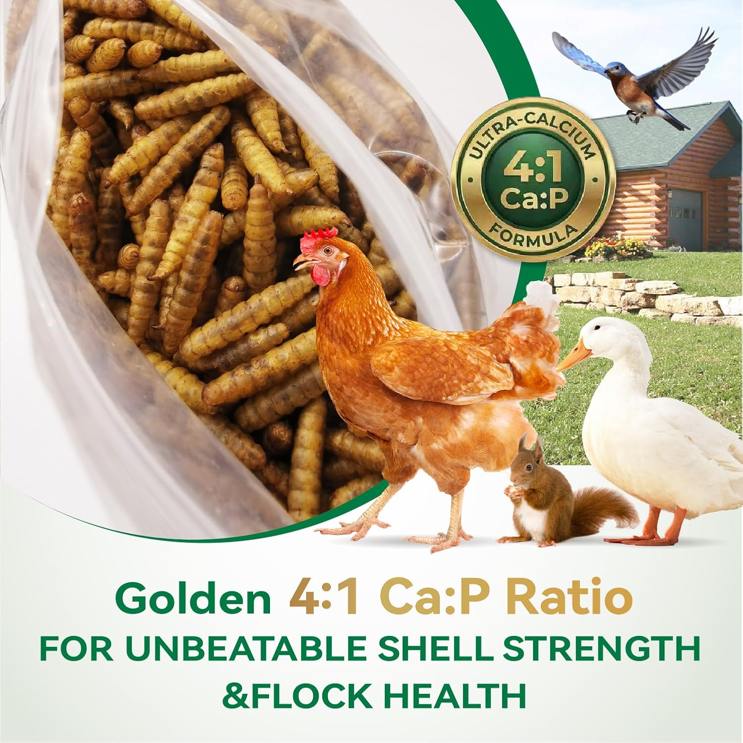 5LB Non-GMO Dried Black Soldier Fly Larvae for Chickens, 85x More Calcium Than Mealworms for Strong Eggshells and Healthy Molting, High Protein Grubs for Chicken, Ducks, Wild Birds